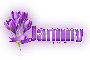Lavender Flower: Jammy