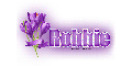 Lavender Flower: Robbie