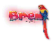 Macaw: Bren