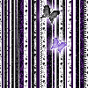Black and purple striped background with butterflies