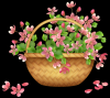 pink flower basket