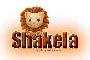 Lion Cub: Shakela