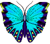 Animated Butterfly