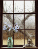 windows,panorama