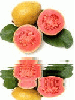 animated,picture,fruit