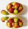 animated,picture,mango,fruit
