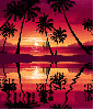 animated,picture,sunset,palm