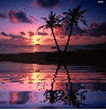 animated,picture,sunset,nature