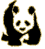 panda glitter