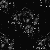 Gothic Background 3 Black Rose