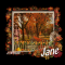 Autumn Flame - jane