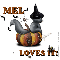 Mel - Pumpkin - Loves It