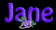 Purple Flower - Jane