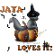 Jaya - Cat - Bat - Loves It