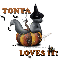 Tonya - Cat - Bat - Loves It
