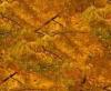 Autumn Forest Foilage - -Seamless