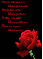 Dark rose