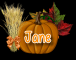 Pumpkin - Jane