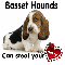 Basset Hounds Steal - Betty