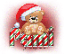 Christmas Bear: Pami