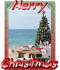 Merry Christmas from the Beach!