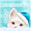 .Â·:*Â´Â¨âœ© Winter Avatar