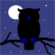 owl night