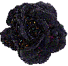 black rosa