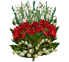 poppies and lilies