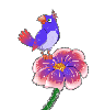 bird and flower