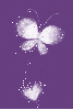 butterfly & heart on purple background