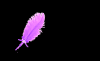 Purple Feather Pen