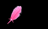 Pink Feather Pen