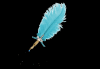 Aqua Blue Feather