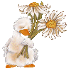 duck and flower