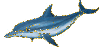 blue dolphin
