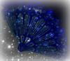 Sparkly Blue Fan