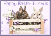 Happy Easter Friends~!