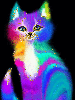 multicolor cat