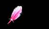 Hottest Pink Feather Pen