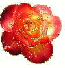 r5ed rosa