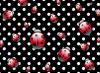 ladybug dots