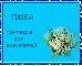 TÃ­mea nameday