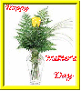 Single yellow rose in a vase