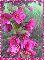 Pink Flowers-Leah