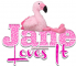 Pink Flamingo - jane