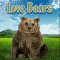 FB Profile Pic - Leve Bears
