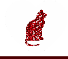 cat into a heart