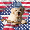 Baseball Puppy Flag ~ background ~ fg