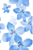 Blue flowers ~ background